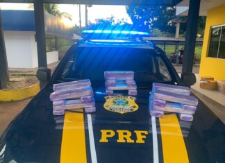 Caixa com 15 kg de maconha é encontrada em corredor de ônibus de viagem