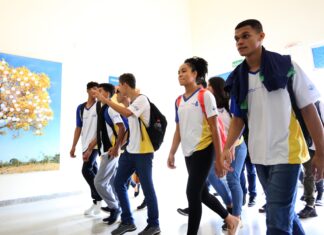 Aulas nas escolas estaduais e municipais do Tocantins começam na semana que vem; veja as datas