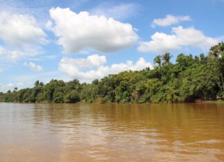 Homem morre afogado enquanto nadava em balneário do Tocantins