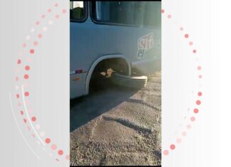VÍDEO: Roda se solta de ônibus do transporte coletivo e vai parar em canteiro central de avenida