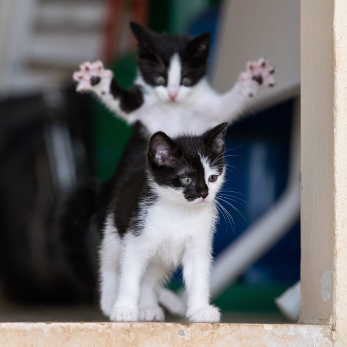 1.-michel-zoghzoghi-a-life-changing-event-scaled