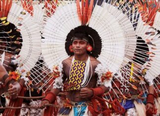Tocantins é o segundo estado do Brasil com maior percentual de indígenas vivendo dentro de terras indígenas