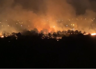 Palmas registra mais de 200 focos de incêndio combatidos e a maioria tem origem criminosa, diz bombeiros