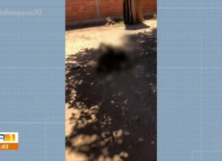 Vídeo mostra momento em que homem com deficiência é encontrado ‘rolando no chão’ com sinais de maus-tratos