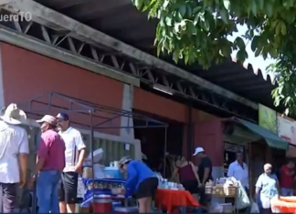 Mercado municipal de Araguaína será demolido e nova estrutura terá mais espaço para comerciantes