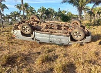 Jovem morre após caminhonete bater em bezerro, sair da pista e capotar