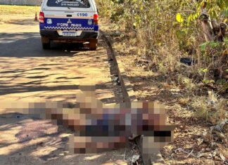 VÍDEO: Corpo de jovem é encontrado degolado em rua de Luzimangues