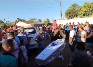 Cavalo de ex-vereador morto em acidente acompanha velório; veja vídeo