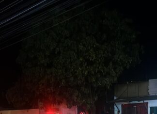 Dupla de moto executa homem com vários tiros no meio de rua em Palmas