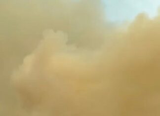 VÍDEO: Fumaça de incêndio em palhada de fazenda afeta visibilidade de motoristas na TO-050