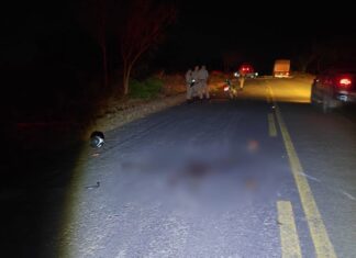 Motociclista atropela boi em uma rodovia e morre no hospital horas após o acidente