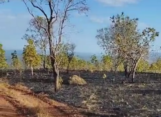 Bombeiros e brigadistas combatem vários focos de incêndio em serra da zona rural de Palmas
