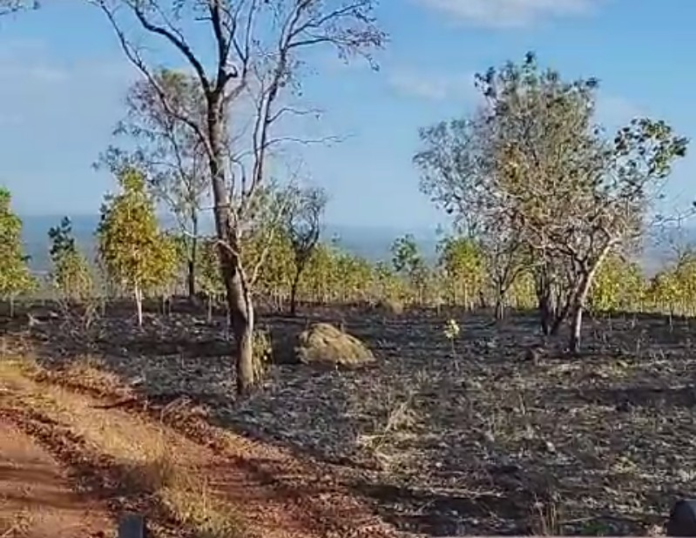 area-queimada