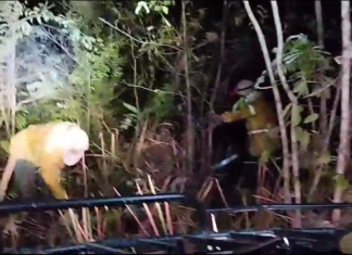 VÍDEO: Incêndio florestal atinge mata nativa da Ilha do Bananal onde vivem indígenas isolados