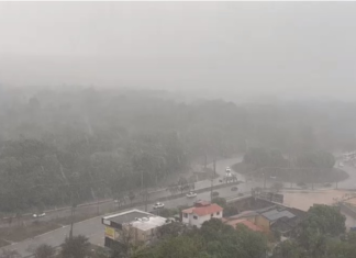 Palmas tem chuva forte após semana sob efeito de onda de calor; Veja previsão