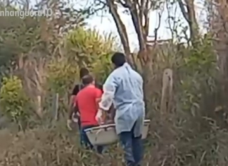 Corpo de homem encontrado em estado de decomposição às margens de rodovia é identificado