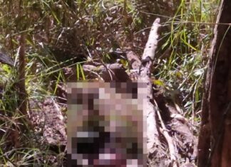 Jovem é preso ao tentar fugir após ter matado proprietário rural durante briga por cabeças de gado