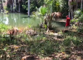 Homem desaparecido é encontrado morto dentro de represa em Araguaína