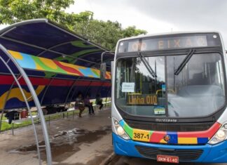 Inscrições para seleção de 40 motorista do transporte público de Palmas são abertas; salário é de R$ 2,8 mil