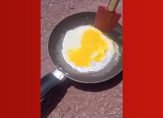 VIDEO: estudante frita ovo no asfalto e faz farofa: ‘como economizar gás’