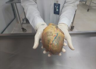 Universidade recebe doações de corpos humanos para estudos; saiba como