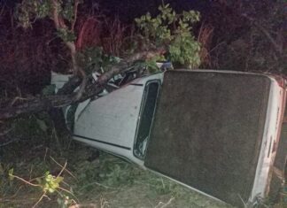 Mulher grávida morre e quatro pessoas ficam feridas após caminhonete cair em ribanceira e bater em árvore