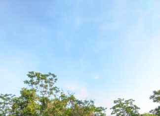 Drones termais ajudam a encontrar, com vida, mulher que estava desaparecida na mata