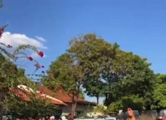 VÍDEO: Alunos e professores soltam balões em homenagem a menina de 8 anos que morreu em acidente