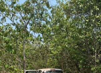Motorista de aplicativo está desaparecido e carro é encontrado abandonado em área de mata