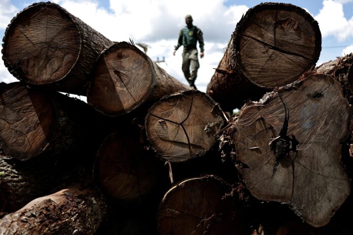 2023-11-08t193449z-2057429621-rc2euy9qewl0-rtrmadp-3-eu-deforestation-brazil-mercosur-scaled