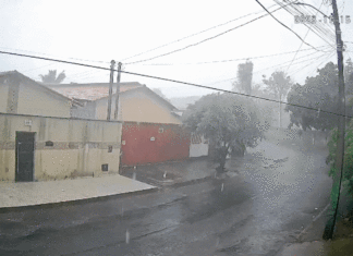 Chuva e ventos fortes derrubam muros, árvores e telhados de casas em Guaraí