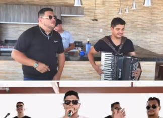 Irmão de cantor que morreu com suspeita de picada de aranha diz que vai seguir com banda: ‘Por ele’