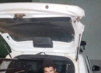 Homem confessou ter assassinado a companheira e ainda pediu para vizinha chamar a PM, diz polícia