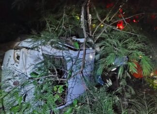 Motorista fica ferido após carro capotar e parar em meio a árvores às margens da TO-335