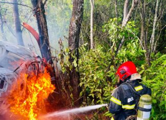 Carro pega fogo e vítimas morrem carbonizadas em rodovia do Tocantins