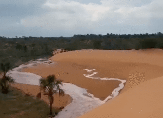 Fervedouro, dunas e cachoeiras: Conheça pontos turísticos de tirar o fôlego no Jalapão