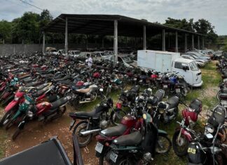 Mais de 400 veículos apreendidos pela PRF no Tocantins serão leiloados; veja como participar