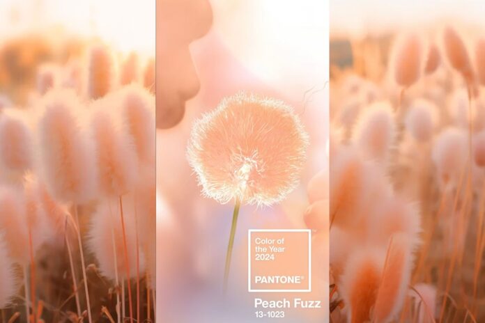 pantone-2024