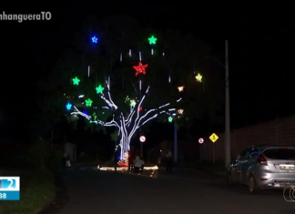 Pequizeiro no meio de rua recebe decoração de Natal e vira atração