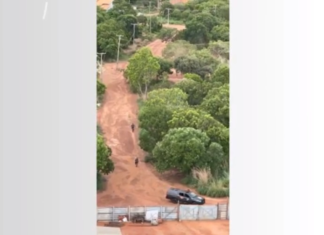Suspeito de furto passa mal dentro de viatura e morre logo após ser perseguido e preso pela PM; VÍDEO