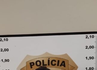 Suspeito de matar vendedor de carros cumpria pena em liberdade por outro homicídio no Tocantins, diz polícia