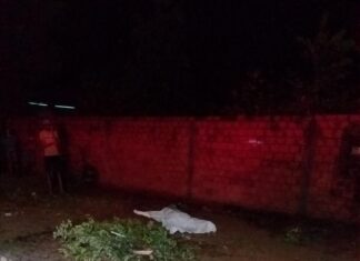 Mulher é assassinada na frente da própria casa e suspeito é preso após se ferir com facada no tórax