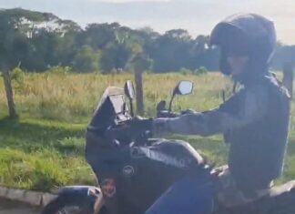Arara surpreende policiais voando entre motos durante patrulhamento; VÍDEO