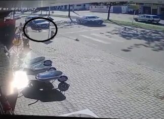 Câmera registra momento em que cachorro ataca chihuahua em calçada de Palmas; assista