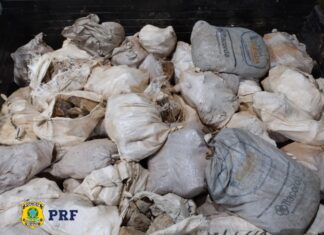 Caminhão é flagrado transportando 20 toneladas de pedras semipreciosas ilegalmente
