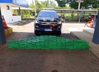 Agentes da PRF abrem caixas de livros e encontram quase 100 kg de maconha