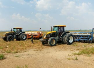 STF confirma inconstitucionalidade de lei que flexibilizou licenças ambientais no Tocantins