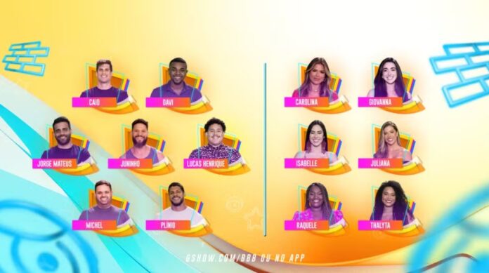 treze-particiapntes-bbb-2