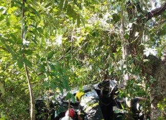 Motorista morre após carro sair da pista e bater em árvore na BR-153
