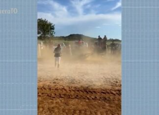 VÍDEO: Cavalo morre após sair da raia e bater em estacas durante corrida